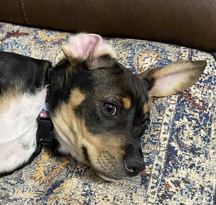 Photo of Betty