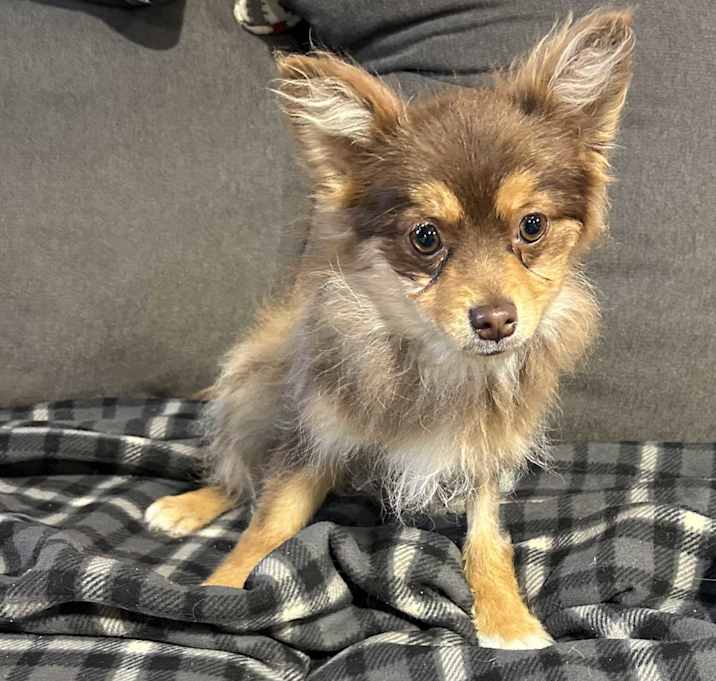 Photo of Tiny Paul 5.8 lbs