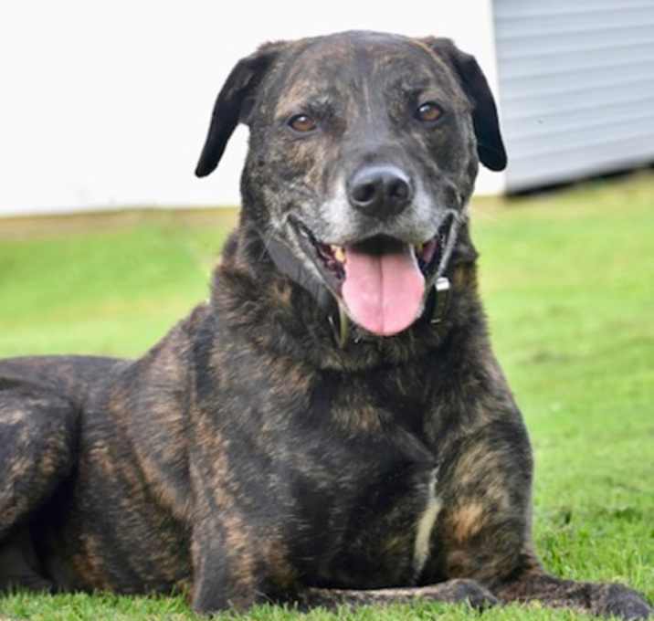 Photo of Baron~17/18-0273