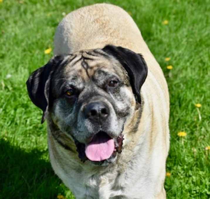 Photo of Gunner~24/25-0313a