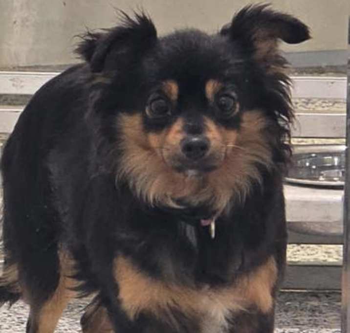 Photo of Bianca
