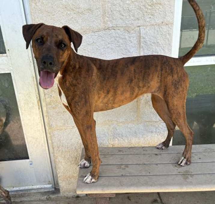 Photo of ZOE