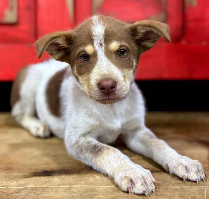 Photo of Jill
