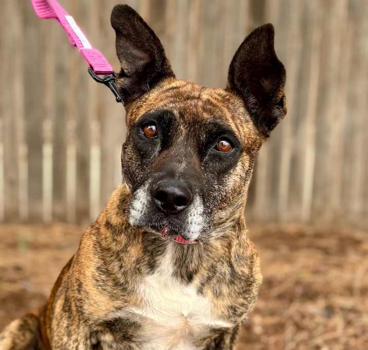 Photo of FWT Betty Lou 