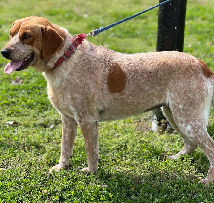 Photo of Maude