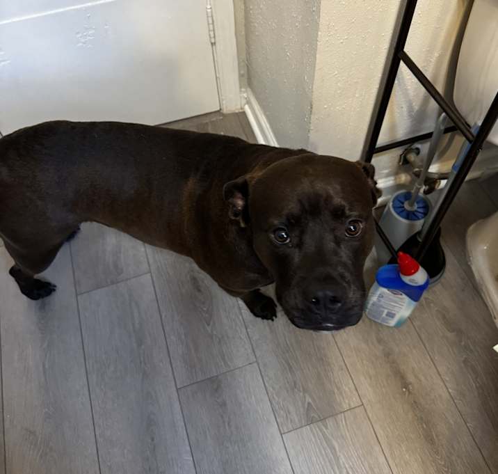 Photo of Francine