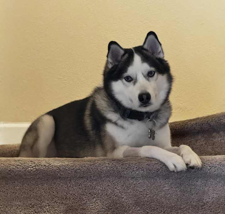 Photo of Max