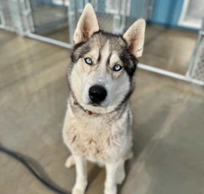 Photo of Tommy
