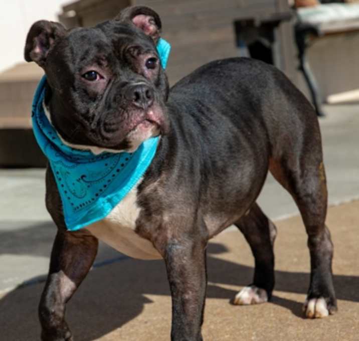 Photo of Gus