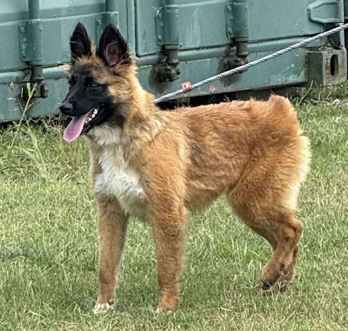 Photo of Josie