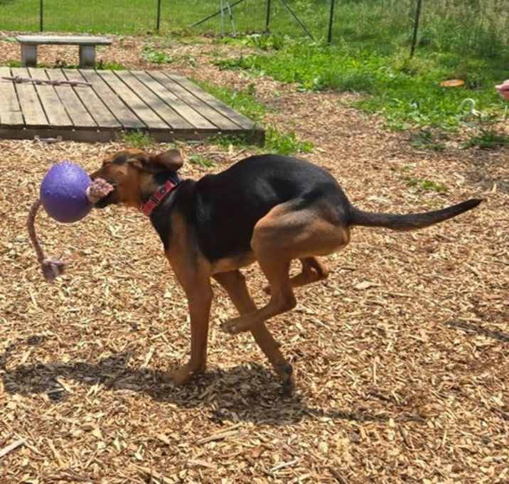 Photo of Robin: At shelter