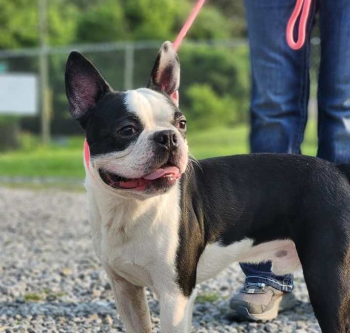 Photo of Jasper