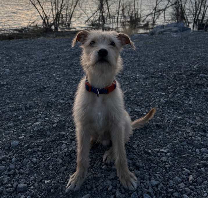 Photo of River