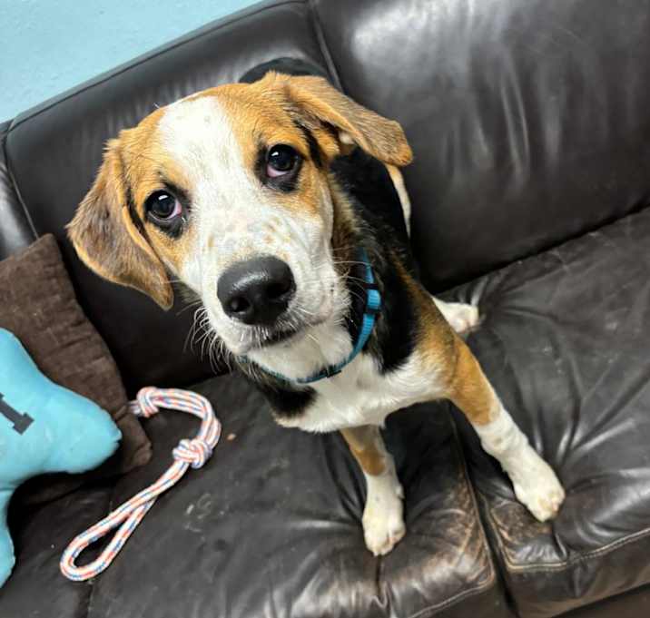 Photo of Hugo
