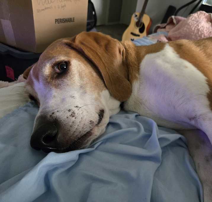 Photo of Copper
