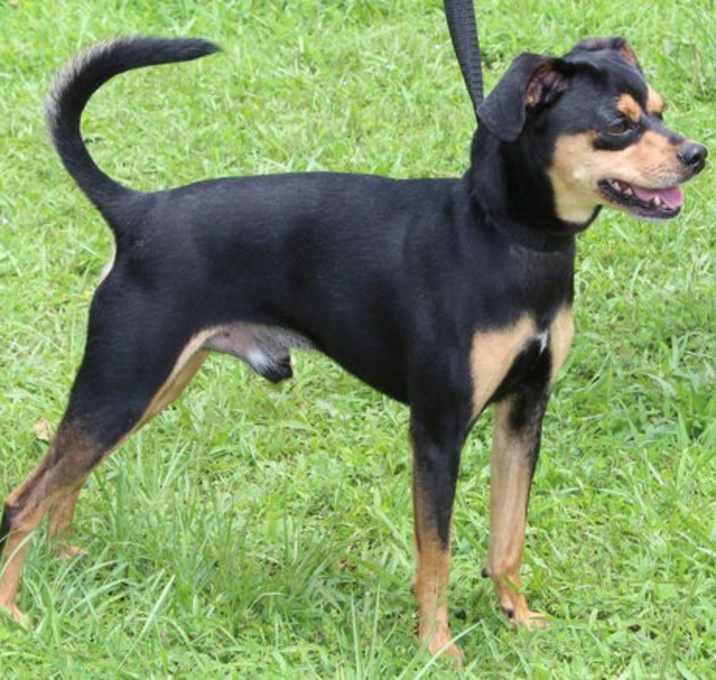 Photo of Charlie 41592