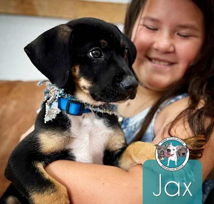 Photo of Jax