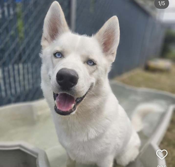Photo of Zeus