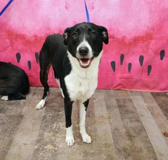Photo of Zelda DIRD 5/30/25