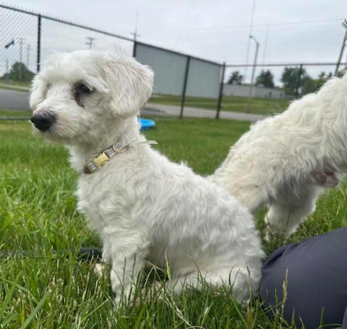 Photo of WILMA