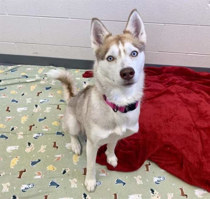 Photo of ELSA