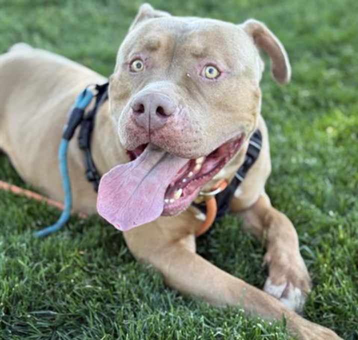 Photo of TONKA