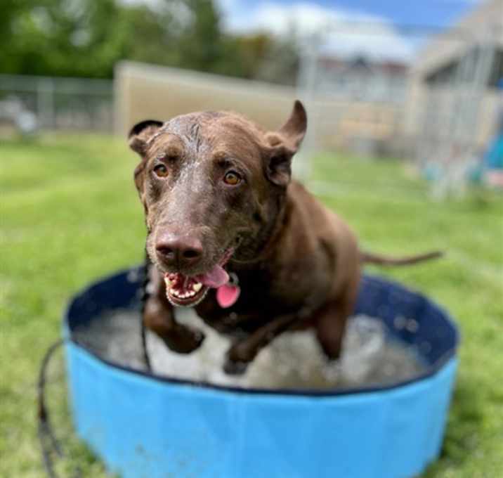 Photo of HONEY
