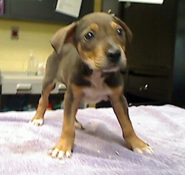 Photo of *TUPPER*