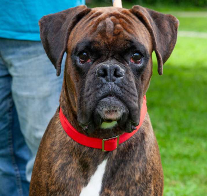 Photo of Duncan