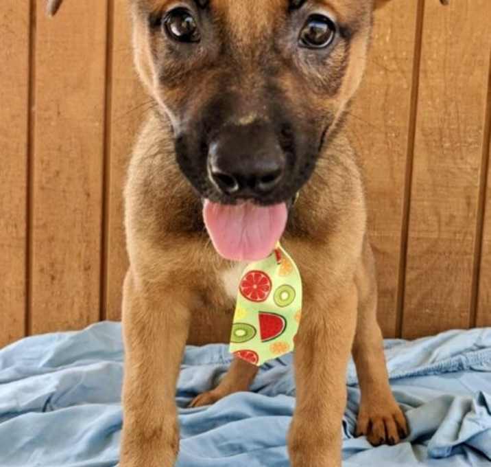 Photo of Zayne