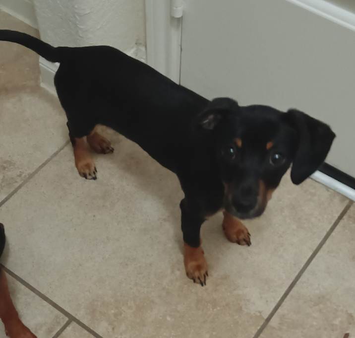 Photo of Jinx