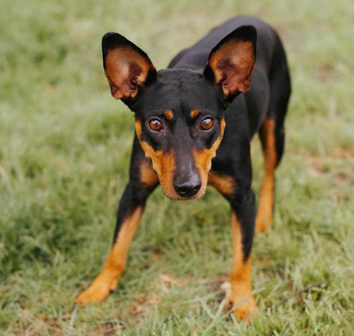 Photo of Mayci