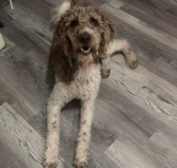 Photo of Harry