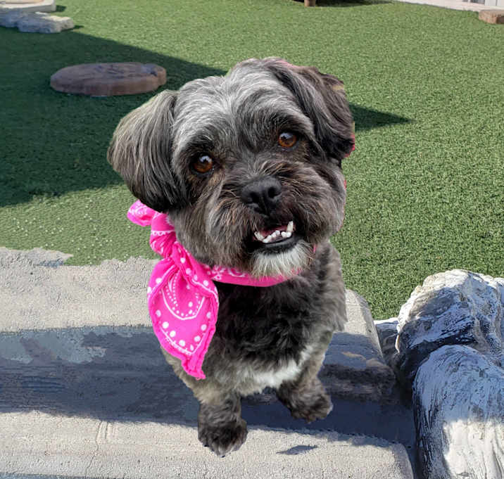 Photo of Mable