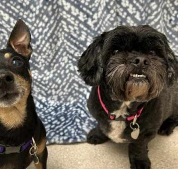 Photo of Murphy & Cooper