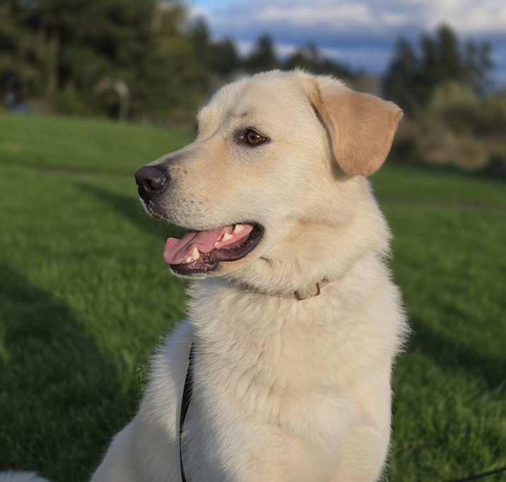 Photo of Bianca