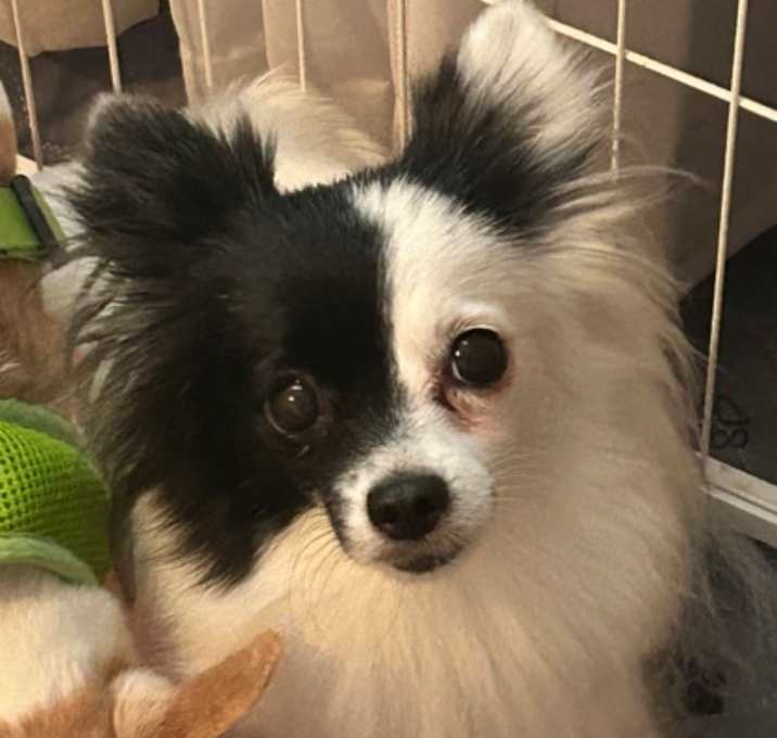 Photo of Cloud