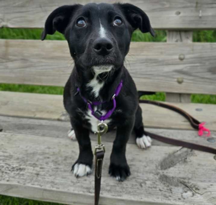 Photo of Polly