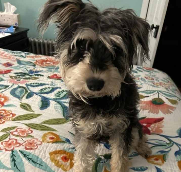 Photo of Elodie