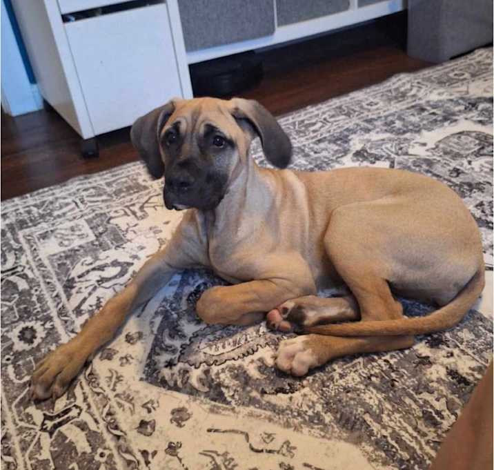 Photo of Honey
