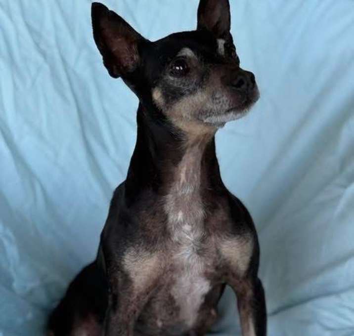Photo of Minnie