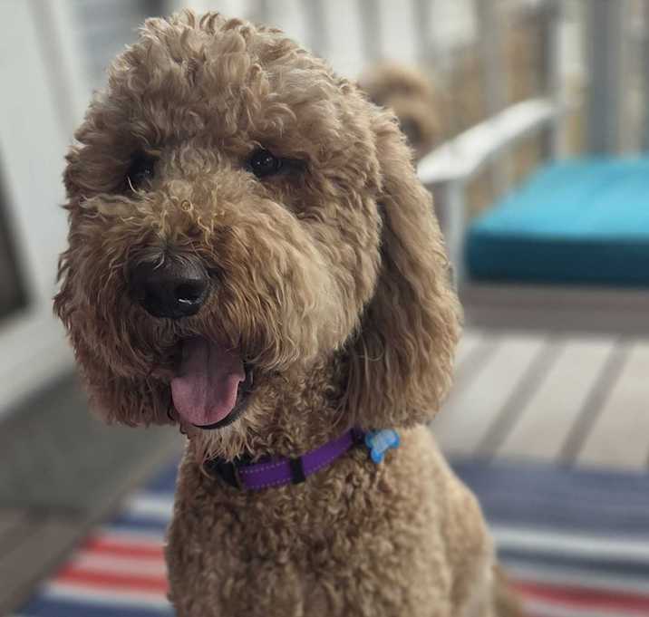 Photo of Bob