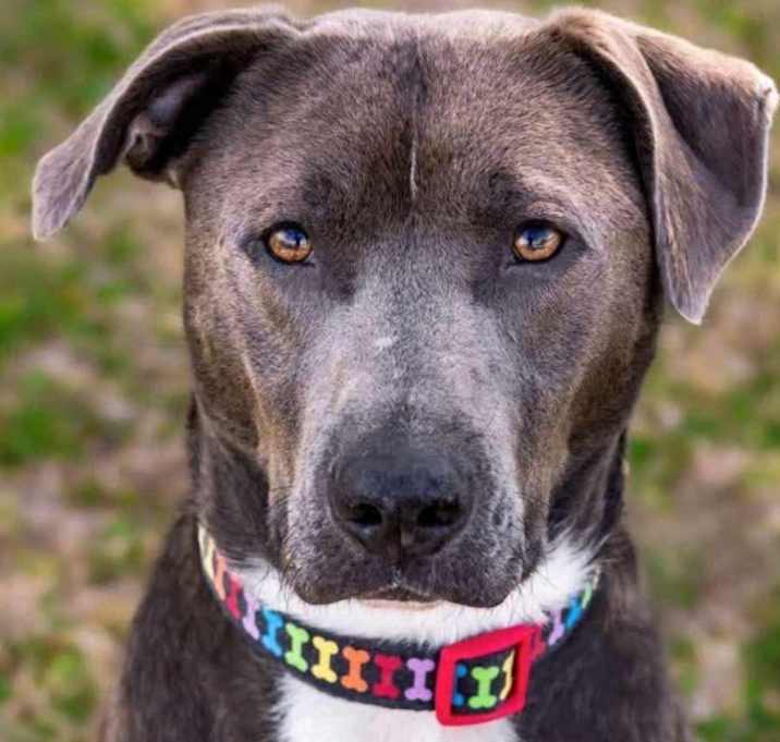 Photo of Bruce