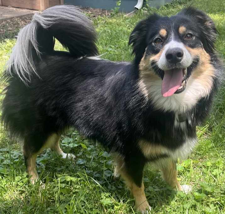Photo of 0849 Stella Mae