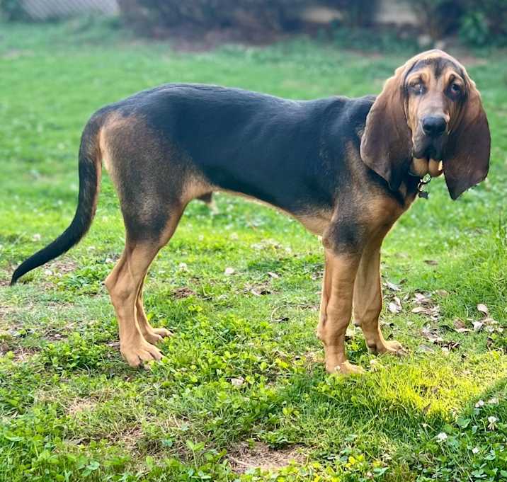 Photo of William