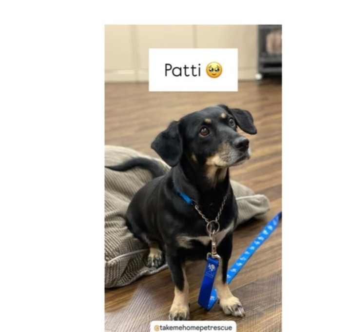 Photo of Patti