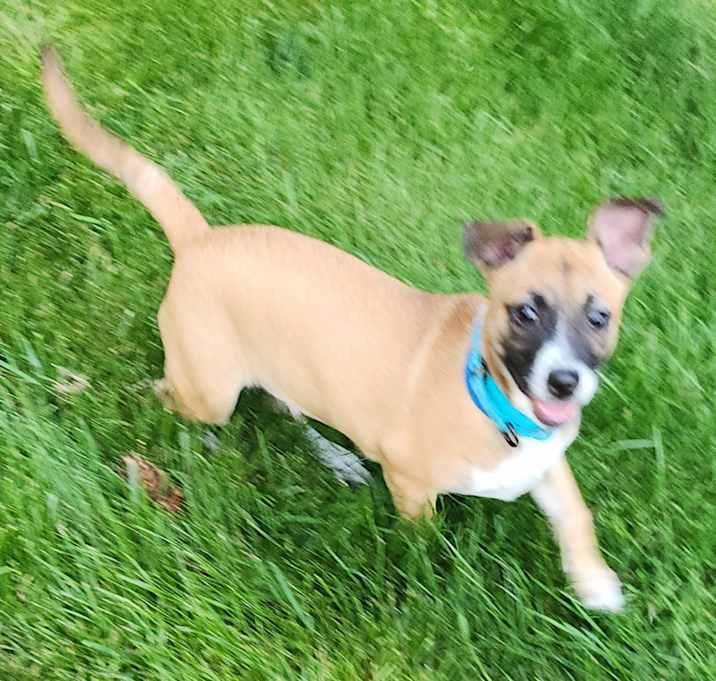 Photo of HICKORY