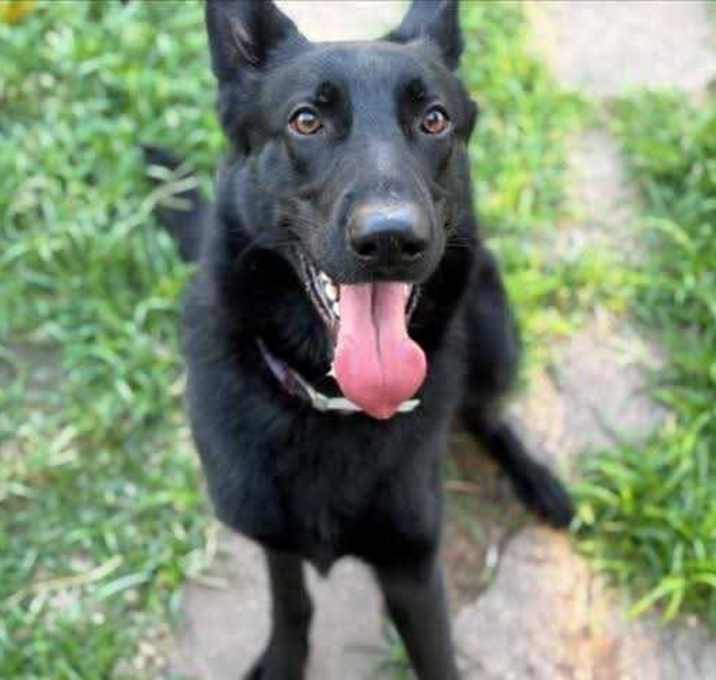 Photo of Coal