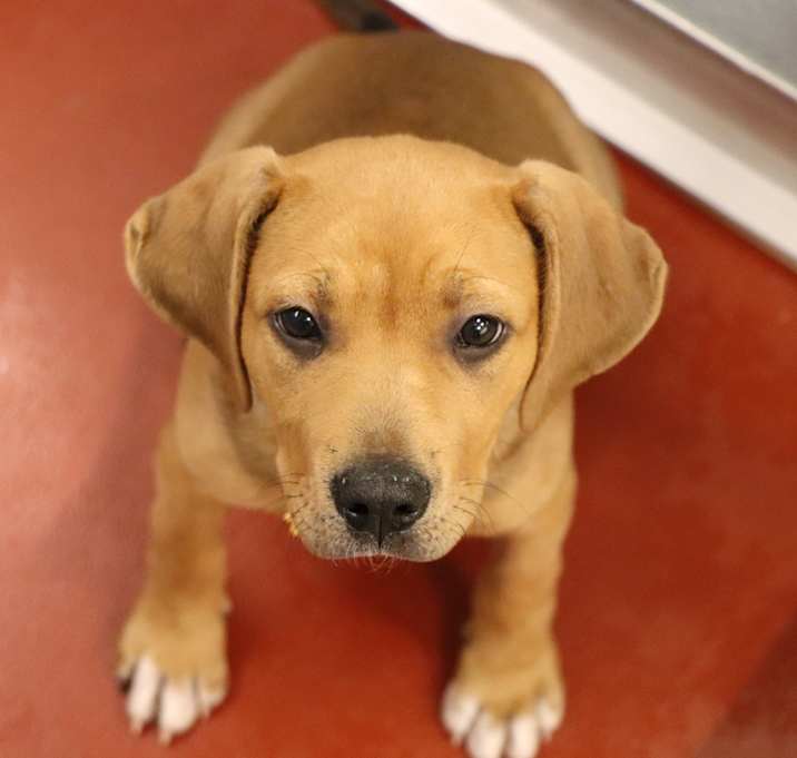 Photo of Maxie