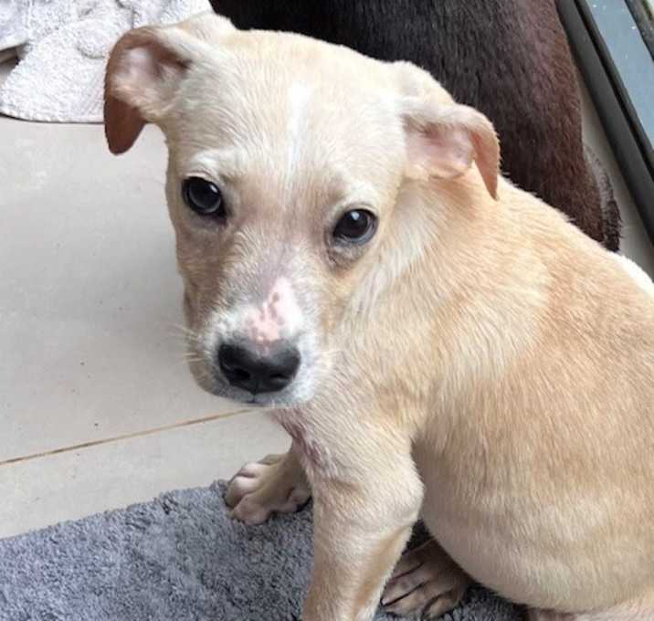 Photo of Baby Leo